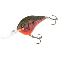 Rapala® DT10 Lure