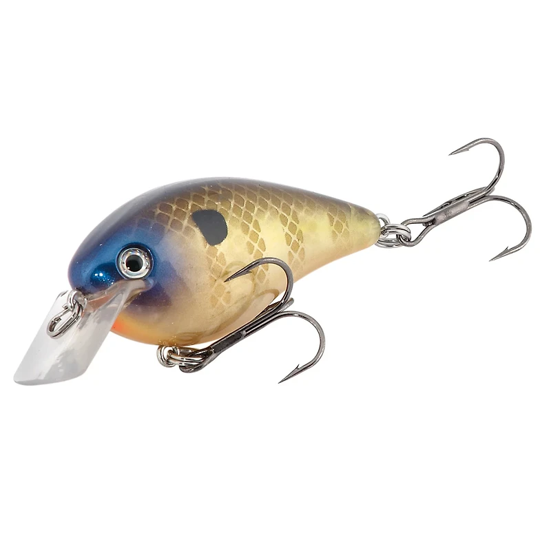 Strike King KVD 1.5 3" Crankbait
