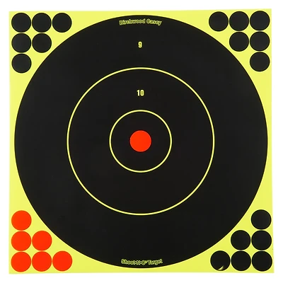 Birchwood Casey Shoot-N-C 12-in Bull's-Eye Targets 5-Pack