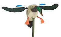 MOJO Outdoors™ Baby MOJO 3-D Drake Decoy