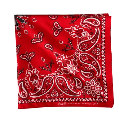 ZANHeadgear Red Paisley Premium Bandana