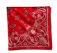 ZANHeadgear Red Paisley Premium Bandana