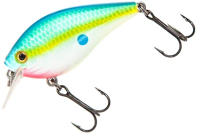 H2O XPRESS™ CRS Crankbait