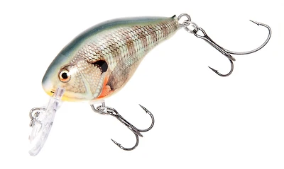 Rapala® DT® Series DT04 Crankbait