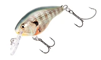 Rapala® DT® Series DT04 Crankbait
