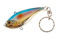 H2O XPRESS™ RT Keychain