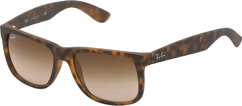 Ray-Ban Justin Gradient Sunglasses
