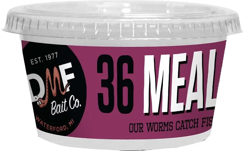 DMF Bait Live Meal Worm 36-Pack
