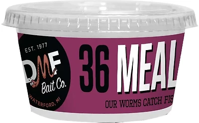 DMF Bait Live Meal Worm 36-Pack