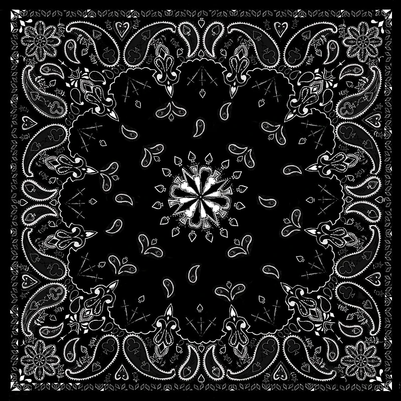 ZANHeadgear Paisley Premium Bandana