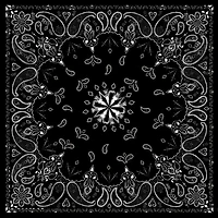 ZANHeadgear Paisley Premium Bandana