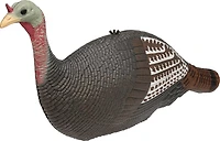 Game Winner® Turkey Flock Decoys 3-Pack