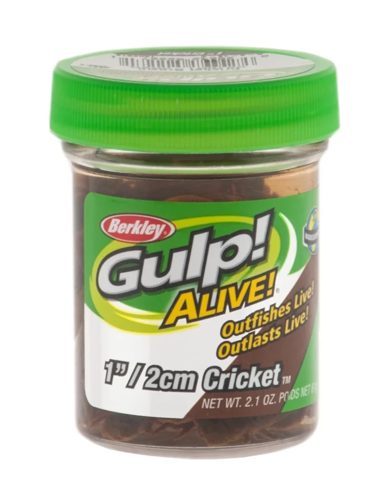 Berkley® Gulp! Alive! 1" Cricket