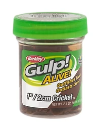 Berkley® Gulp! Alive! 1" Cricket