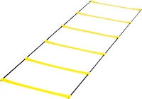 SKLZ Elevation Ladder