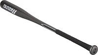 Mizuno Adults' Pro Carbon Fungo Baseball Bat -18