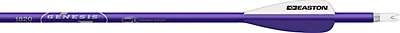 EASTON Genesis V2 Arrow