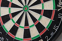 Viper Dead-On Bristle Dartboard