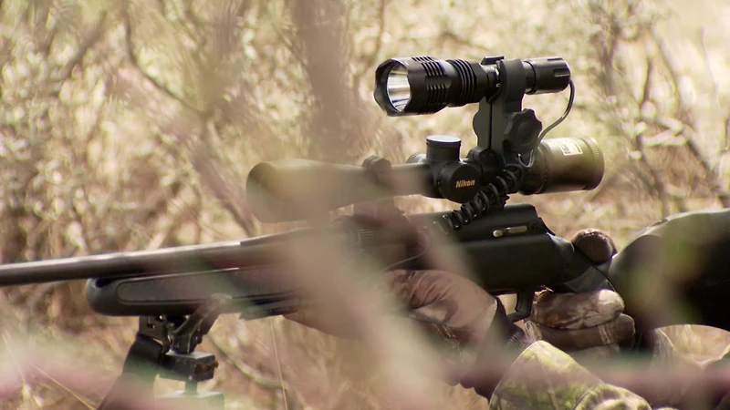 Cyclops VB250 Varmint Light Kit