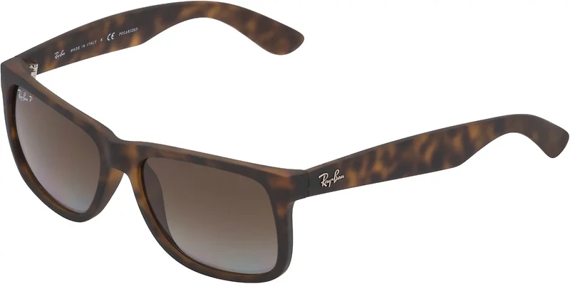 Ray-Ban Justin Sunglasses