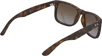 Ray-Ban Justin Sunglasses