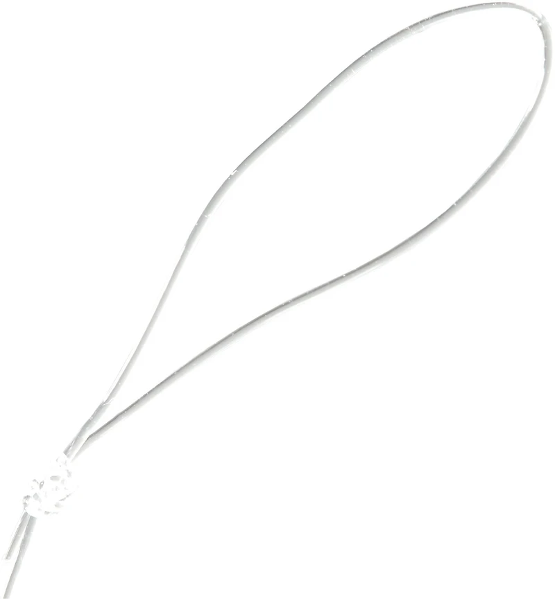 H2O XPRESS™ Snelled Baitholder Hooks 10-Pack