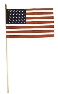 Independence Flag 8" x 12" Handheld American Flag