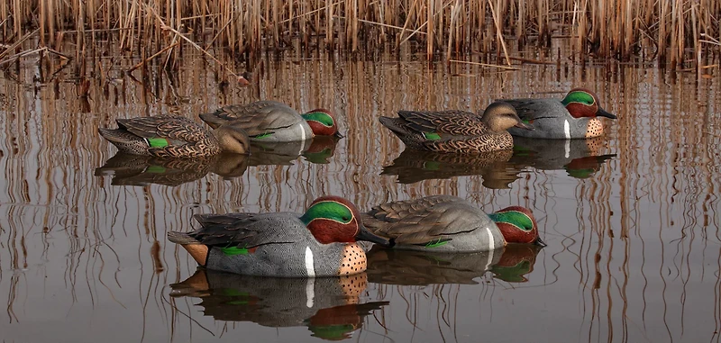 Avian-X Topflight Green-Winged Teal Decoys Set