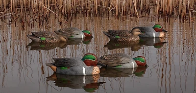 Avian-X Topflight Green-Winged Teal Decoys Set