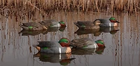Avian-X Topflight Green-Winged Teal Decoys Set
