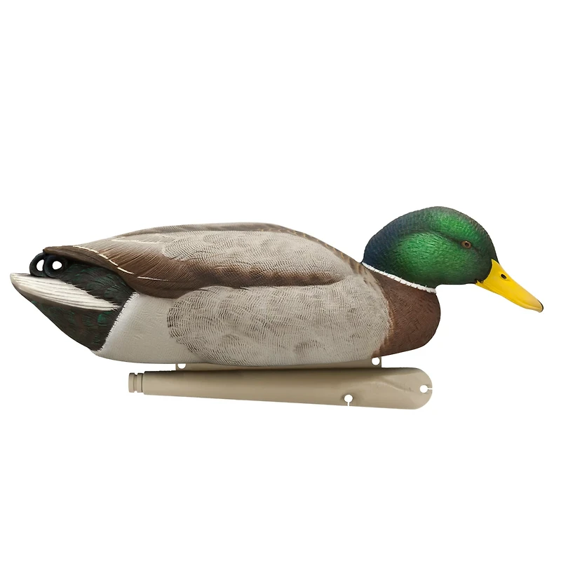 Avian-X Back Water Topflight Mallards Set
