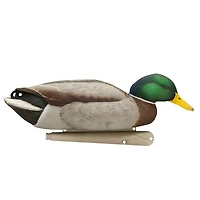 Avian-X Back Water Topflight Mallards Set