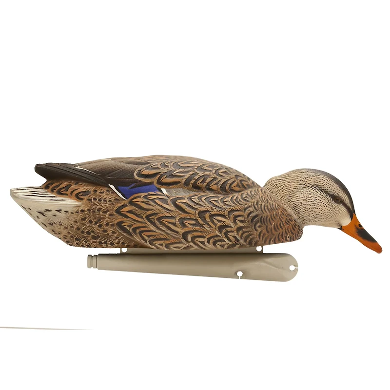 Avian-X Back Water Topflight Mallards Set