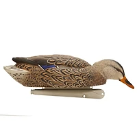 Avian-X Back Water Topflight Mallards Set