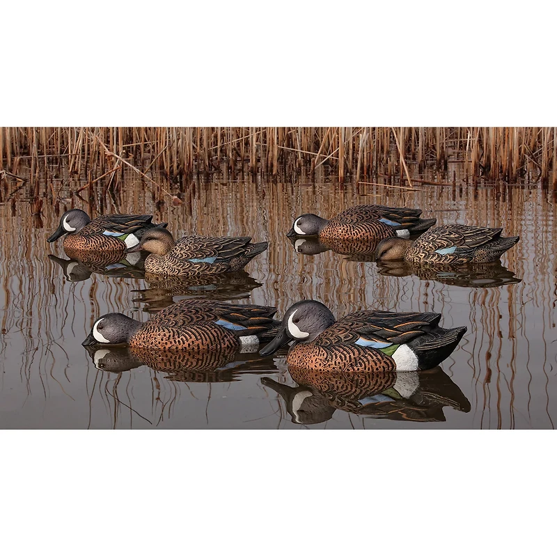 Avian-X Topflight Blue-Winged Teal Decoys Set