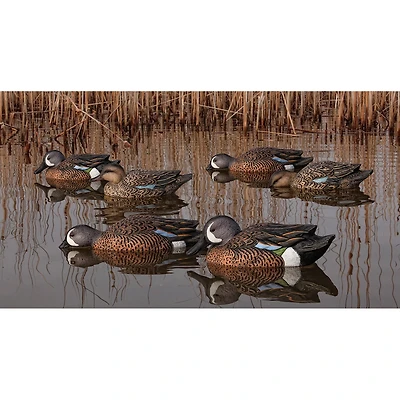 Avian-X Topflight Blue-Winged Teal Decoys Set