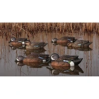 Avian-X Topflight Blue-Winged Teal Decoys Set