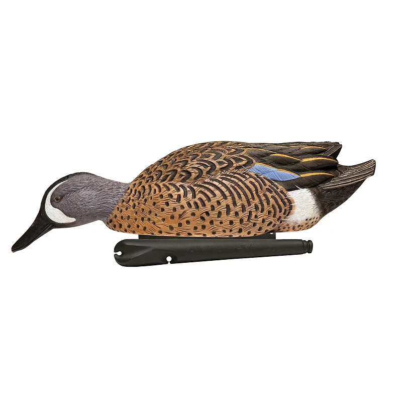 Avian-X Topflight Blue-Winged Teal Decoys Set