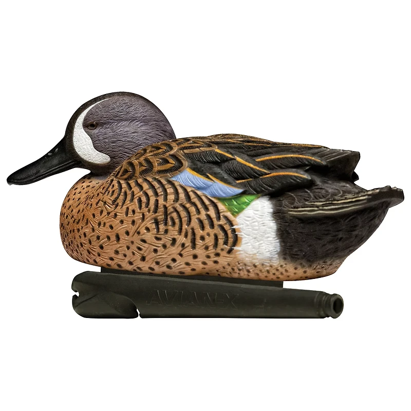 Avian-X Topflight Blue-Winged Teal Decoys Set