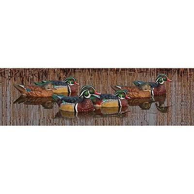 Avian-X Topflight Wood Duck Decoys 6-Pack