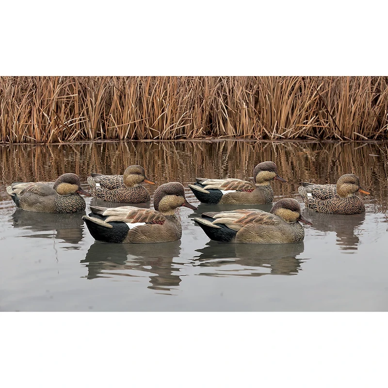 Avian-X Topflight Gadwall Decoys 6-Pack