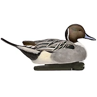 Avian-X Topflight Pintail Duck Decoys 6-Pack