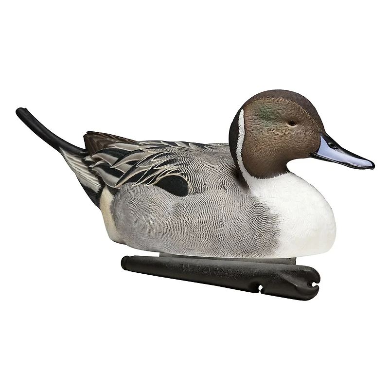 Avian-X Topflight Pintail Duck Decoys 6-Pack