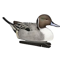 Avian-X Topflight Pintail Duck Decoys 6-Pack