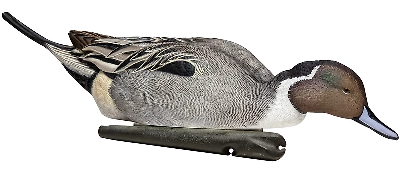 Avian-X Topflight Pintail Duck Decoys 6-Pack