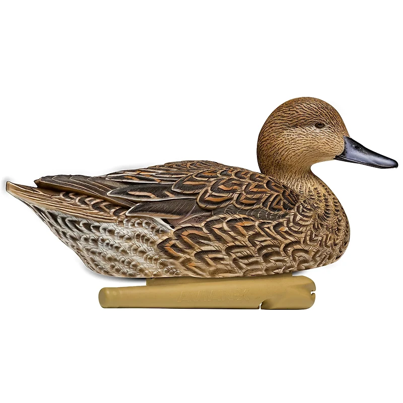 Avian-X Topflight Pintail Duck Decoys 6-Pack