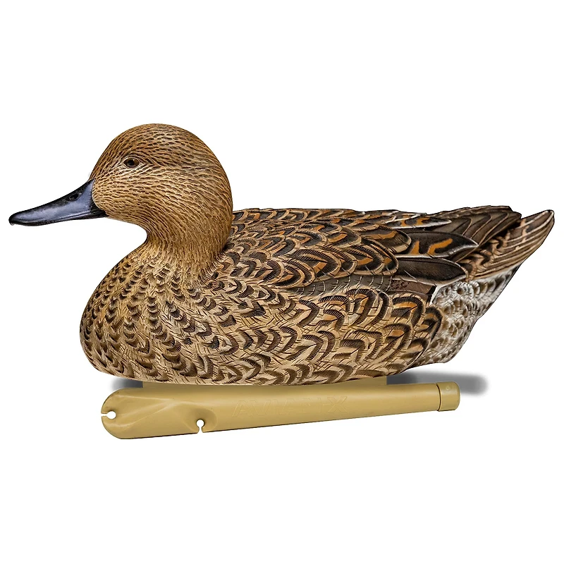 Avian-X Topflight Pintail Duck Decoys 6-Pack