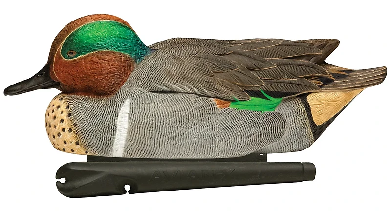 Avian-X Topflight Green-Winged Teal Decoys Set