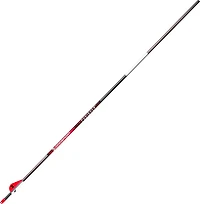 BloodSport Punisher Carbon Arrow