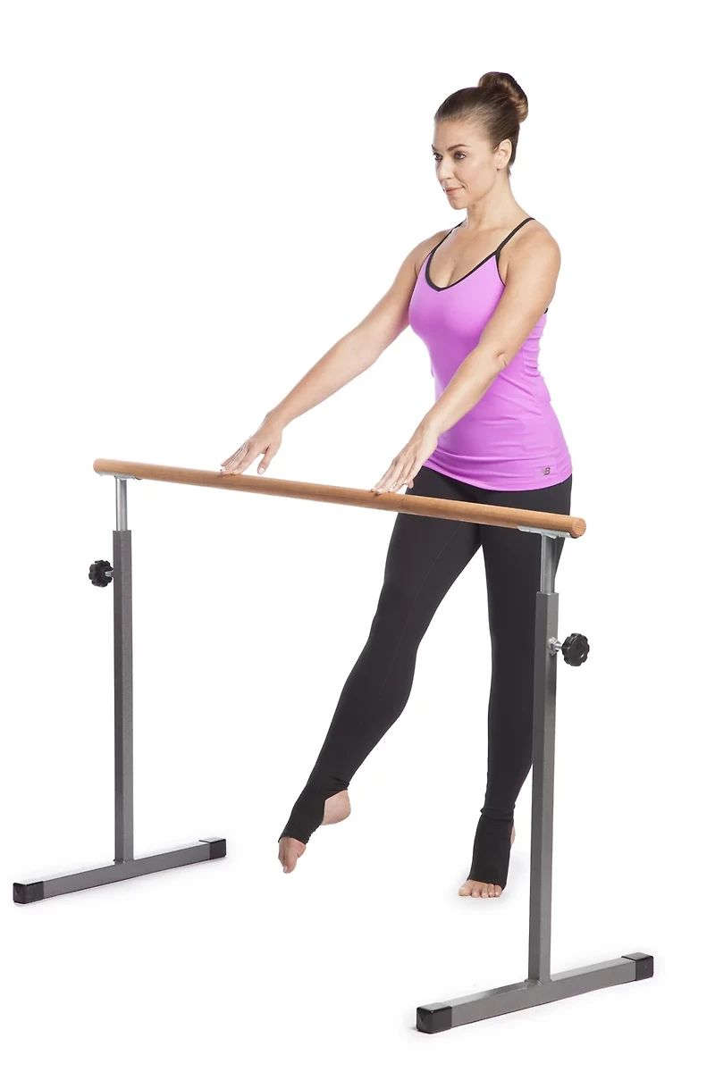 GoFit Go Barre Workout Kit